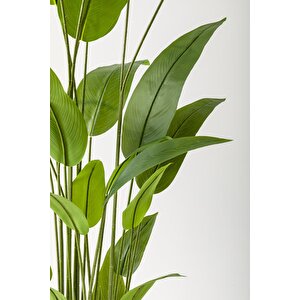 Yapay Starliçe Ağacı 220 Cm 24 Yaprak Krem Balon Saksı