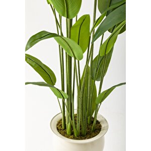 Yapay Starliçe Ağacı 220 Cm 24 Yaprak Krem Balon Saksı