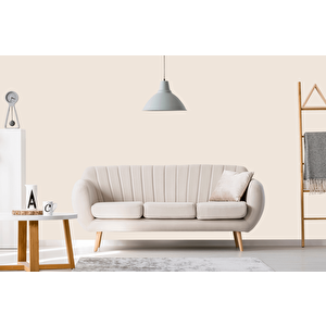 İshakol Euromax Silikonlu Silinebilir Soft Mat Boya  Sedef Sedef