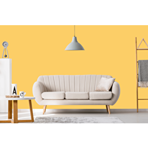 İshakol Euromax Silikonlu Silinebilir Soft Mat Boya