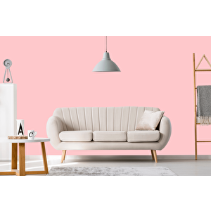 İshakol Euromax Silikonlu Silinebilir Soft Mat Boya  Prenses Prenses