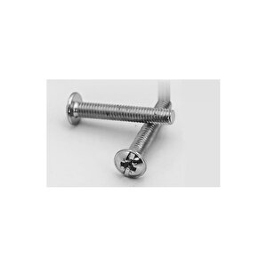 Yuvarlak Yıldız Başlı Rysb Kulp Vidası, Civata M4x30 - 50 Adet