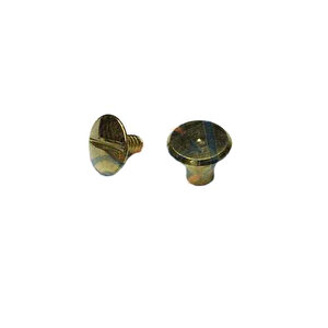 Cilt Menü, Katalog, Kartela Vidası, 6 Mm - Sarı, 1 Adet