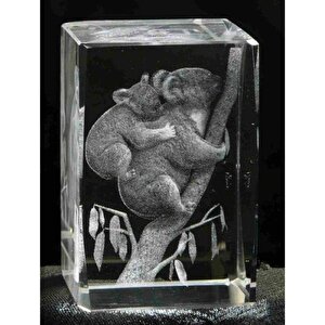 3d Kristal Koala Modeli