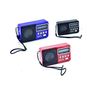 Usb Ve Micro Kart Girişli El Radyosu Rt-303