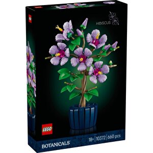 10372  Botanicals Japon Gülü