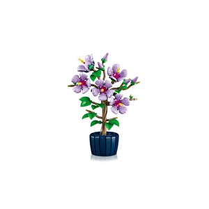 10372  Botanicals Japon Gülü