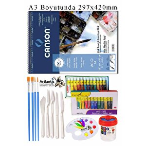 Canson Çok Amaçlı Sanatsal Blok A3 200 Gr 20 Yaprak 1 Adet Fanart 12 Renk Yağlı Boya Fırça Palet Spatula Fırça Temizleme