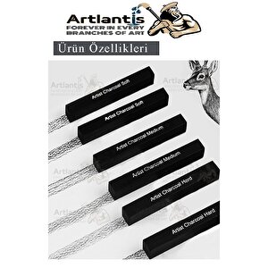 Sıkıştırılmış Kömür Füzen Seti 3 Lü Ve Zımpara 1 Paket Siyah Kare Press Kömür Füzen Yassı Çizim Gölgelendirme Grafit