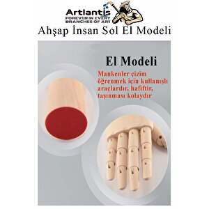 Ahşap El Modeli 18 Cm Ve A3 Eskiz Defteri Modelleme Seti 1 Paket Dereceli Kalem Karakalem Dağıtma Hamur Silgi Kalemtraş