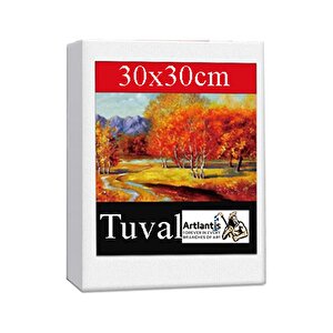 Kare Yuvarlak Ve Altıgen Tuval 30 Cm 2 Li 1 Paket 30x30 Cm Arkadan Zımbalı Astarlı Resim Tuvali Akrilik Yağlı Boya