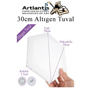 Altıgen Tuval 30 Cm 1 Adet Arkadan Zımbalı Astarlı Resim Tuvali Akrilik Boya Yağlı Boya Altıgen Şekil Tuval Ressam Sanat