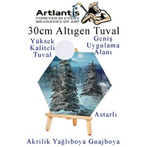 Altıgen Tuval 30 Cm 1 Adet Arkadan Zımbalı Astarlı Resim Tuvali Akrilik Boya Yağlı Boya Altıgen Şekil Tuval Ressam Sanat