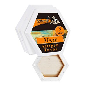 Altıgen Tuval 30 Cm 3 Adet Arkadan Zımbalı Astarlı Resim Tuvali Akrilik Boya Yağlı Boya Altıgen Şekil Tuval Ressam Sanat