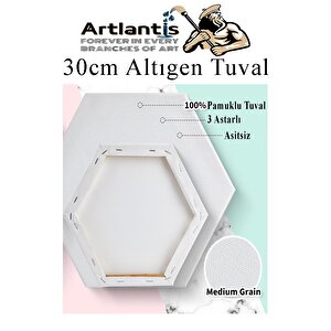 Altıgen Tuval 30 Cm 3 Adet Arkadan Zımbalı Astarlı Resim Tuvali Akrilik Boya Yağlı Boya Altıgen Şekil Tuval Ressam Sanat