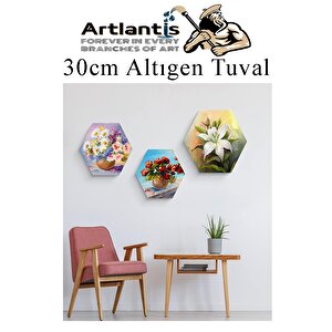 Altıgen Tuval 30 Cm 3 Adet Arkadan Zımbalı Astarlı Resim Tuvali Akrilik Boya Yağlı Boya Altıgen Şekil Tuval Ressam Sanat