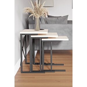 Zg2 Metal Ayaklı Zigon Sehpa -  Bej