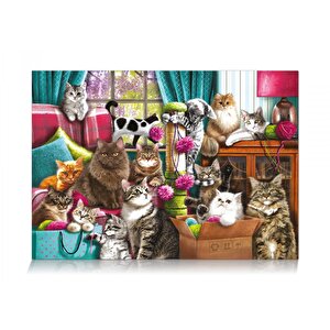 Kedi Evi 1000 Parça Puzzle