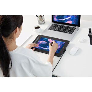Xp-pen Artist 12 2nd Generation Grafik Ekran Tablet Siyah