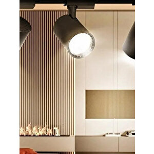 Hl-3304s 30 Watt Siyah Kasa Cob Led Ray Spot Lamba Led Işık Gün Işığı