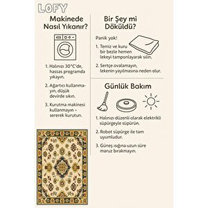 Pamuk Dokuma Taban Halı – Yeşil, Sarı, Kırmızı, Fildişi – Oriental Desen, Makinede Yıkanabilir, Kolay Temizlenebilir, Toz Ve Tüy Tutmaz, Kaymaz, Evcil Hayvan Dostu