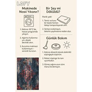 Yıkanabilir Halı – Kırmızı; Lacivert; Bej – Damask Desen, Eskitilmiş Görünümlü Tasarım, Pamuk Dokuma Taban, Kolay Temizlenebilir, Toz Ve Tüy Tutmaz, Kaymaz, Evcil Hayvan Dostu