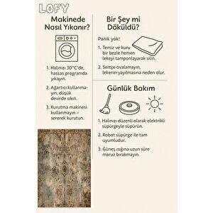 Halı – Kahverengi; Krem – Eskitilmiş Görünümlü Tasarım, Makinede Yıkanabilir, Kolay Temizlenebilir, Toz Ve Tüy Tutmaz, Kaymaz, Evcil Hayvan Dostu