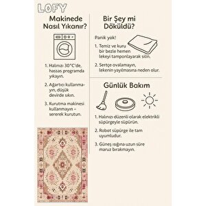 Oturma Odası Halısı – Pembe; Kahverengi; Krem – Oriental Desen, Makinede Yıkanabilir, Kolay Temizlenebilir, Toz Ve Tüy Tutmaz, Kaymaz, Evcil Hayvan Dostu