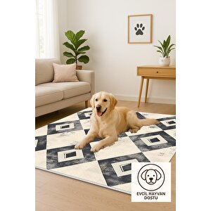 Oturma Odası Halısı – Siyah; Krem – Geometrik Desen, Eskitilmiş Görünümlü Tasarım, Makinede Yıkanabilir, Kolay Temizlenebilir, Toz Ve Tüy Tutmaz, Kaymaz, Evcil Hayvan Dostu 200x220 cm