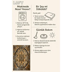 Oturma Odası Halısı – Siyah; Kahverengi – Eskitilmiş Görünümlü Mandala Desen, Makinede Yıkanabilir, Kolay Temizlenebilir, Toz Ve Tüy Tutmaz, Kaymaz, Evcil Hayvan Dostu