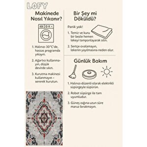 Pamuk Dokuma Taban Halı – Gri; Kırmızı; Lacivert – Eskitilmiş Görünümlü Oriental Desen, Makinede Yıkanabilir, Kolay Temizlenebilir, Toz Ve Tüy Tutmaz, Kaymaz, Evcil Hayvan Dostu