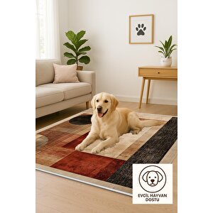 Salon Halısı, Makinede Yıkanabilir, Kolay Temizlenebilir, Toz Ve Tüy Tutmaz, Kaymaz, Evcil Hayvan Dostu 150x240 cm