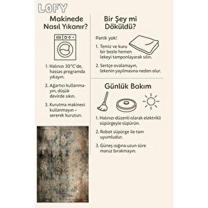 Halı – Kahverengi; Krem – Eskitilmiş Görünümlü Tasarım, Makinede Yıkanabilir, Kolay Temizlenebilir, Toz Ve Tüy Tutmaz, Kaymaz, Evcil Hayvan Dostu