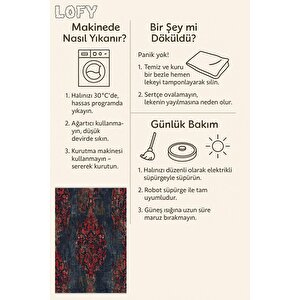 Yıkanabilir Halı – Kırmızı; Lacivert; Bej – Damask Desen, Eskitilmiş Görünümlü Tasarım, Pamuk Dokuma Taban, Kolay Temizlenebilir, Toz Ve Tüy Tutmaz, Kaymaz, Evcil Hayvan Dostu