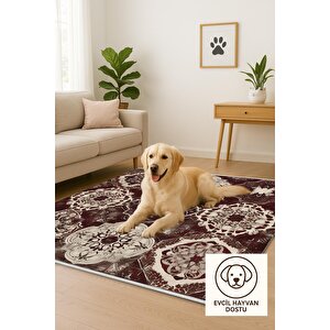 Pamuk Dokuma Taban Halı – Bordo; Kahverengi; Krem – Eskitilmiş Görünümlü Geleneksel Desen, Makinede Yıkanabilir, Kolay Temizlenebilir, Toz Ve Tüy Tutmaz, Kaymaz, Evcil Hayvan Dostu