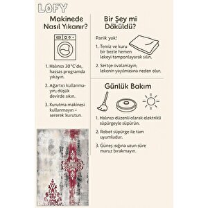 Pamuk Dokuma Taban Halı – Gri; Kırmızı – Damask Desen, Makinede Yıkanabilir, Kolay Temizlenebilir, Toz Ve Tüy Tutmaz, Kaymaz, Evcil Hayvan Dostu