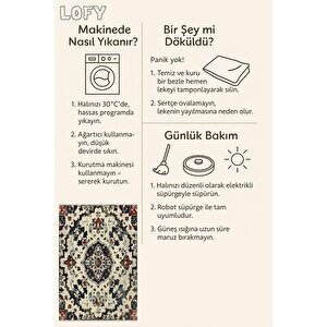 Salon Halısı, Pamuk Dokuma Taban – Makinede Yıkanabilir, Kolay Temizlenebilir, Toz Ve Tüy Tutmaz, Kaymaz, Evcil Hayvan Dostu