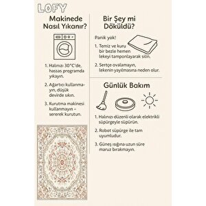 Oturma Odası Halısı, Makinede Yıkanabilir, Kolay Temizlenebilir, Toz Ve Tüy Tutmaz, Kaymaz, Evcil Hayvan Dostu