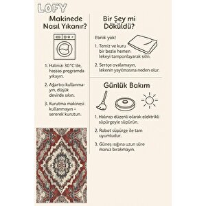 Pamuk Dokuma Taban Halı – Kırmızı; Gri; Krem – Geleneksel Desen, Makinede Yıkanabilir, Kolay Temizlenebilir, Toz Ve Tüy Tutmaz, Kaymaz, Evcil Hayvan Dostu