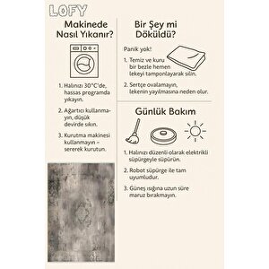 Nötr Renk Halı – Kahverengi; Krem – Eskitilmiş Görünümlü Tasarım, Makinede Yıkanabilir, Kolay Temizlenebilir, Toz Ve Tüy Tutmaz, Kaymaz, Evcil Hayvan Dostu 100x100 cm