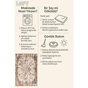 Pamuk Tabanlı Kaymaz Halı – Bej; Kahverengi; Krem – Oriental Desen, Pamuk Dokuma Taban, Makinede Yıkanabilir, Kolay Temizlenebilir, Toz Ve Tüy Tutmaz, Kaymaz, Evcil Hayvan Dostu 160x350 cm