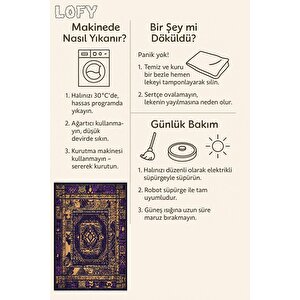 Salon Halısı, Makinede Yıkanabilir, Kolay Temizlenebilir, Toz Ve Tüy Tutmaz, Kaymaz, Evcil Hayvan Dostu
