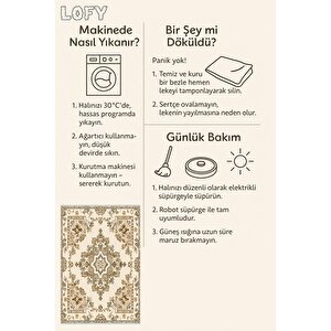 Oturma Odası Halısı – Krem; Kahverengi – Geleneksel Desen, Makinede Yıkanabilir, Kolay Temizlenebilir, Toz Ve Tüy Tutmaz, Kaymaz, Evcil Hayvan Dostu