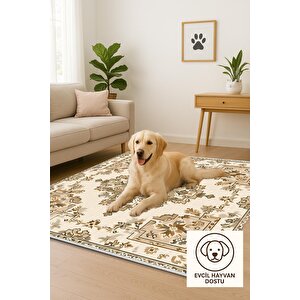 Oturma Odası Halısı – Krem; Kahverengi – Geleneksel Desen, Makinede Yıkanabilir, Kolay Temizlenebilir, Toz Ve Tüy Tutmaz, Kaymaz, Evcil Hayvan Dostu