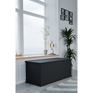 Ecm Çeyiz Sandığı Çok Amaçlı Saklama Kutusu Salon Antre Mobilyası Oyuncak Organizer Sandık 125x40 Cm