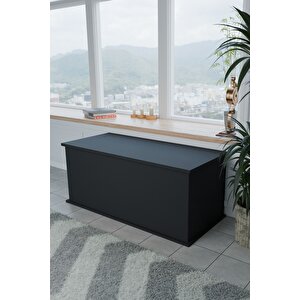 Ecm Çeyiz Sandığı Çok Amaçlı Saklama Kutusu Salon Antre Mobilyası Oyuncak Organizer Sandık 125x40 Cm