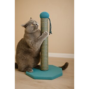 Pet Sekizgen Kedi Tırmalama Platformu Mavi