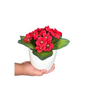 Beyaz Renkli̇ Saksida Canli Renkli̇ Gerçek Dokulu Yapay Menekşe