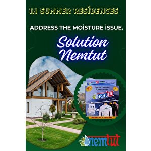 Dehumidifier Moisture Absorber Odor Remover Mold And Corrosion Preventive 1 Box 2 Packages 1 Kg