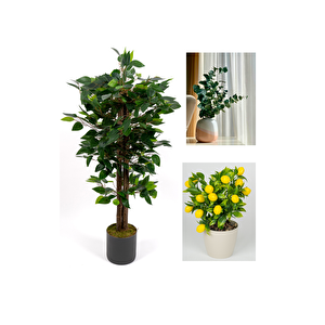 Dekoratif 3’lü Set: 100 cm Yapay Benjamin Ağacı + Şoklanmış Okaliptus Demeti + Yapay Limon – Ev & Ofis Doğal Dekorasyon